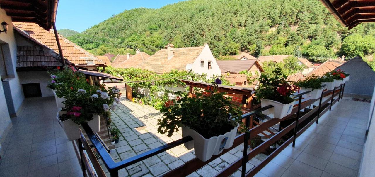 Casa Presecan Tălmaciu Exterior foto